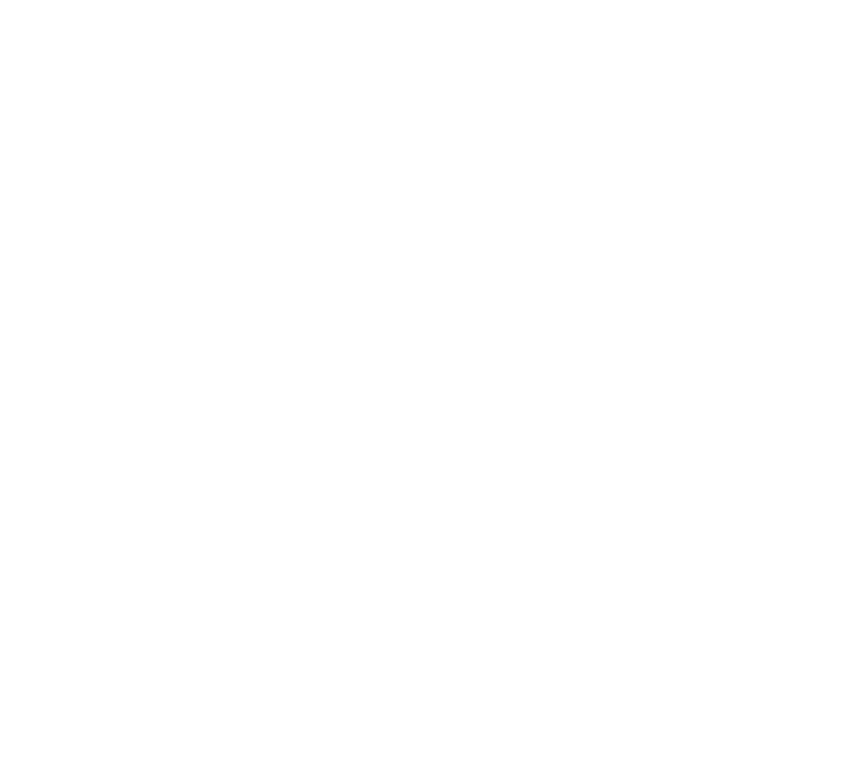 Logo naturhaus bergslagen