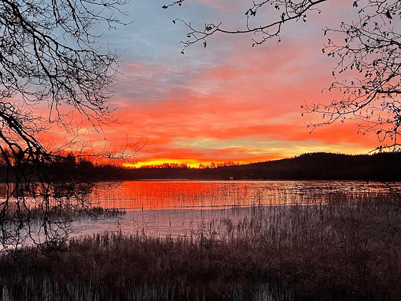 naturreservate schweden
