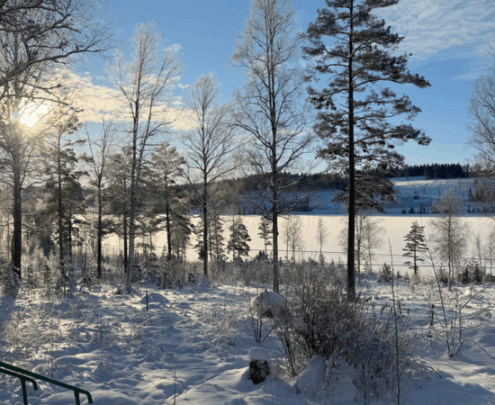 Seeblick im Winter, der See ist zugefroren