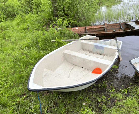 Das Ruderboot am See