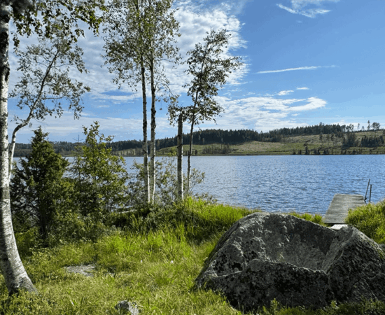 Naturhaus Bergslagen direkt am See mit Steg
