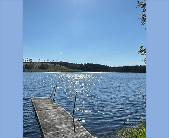 Steg im Sommer